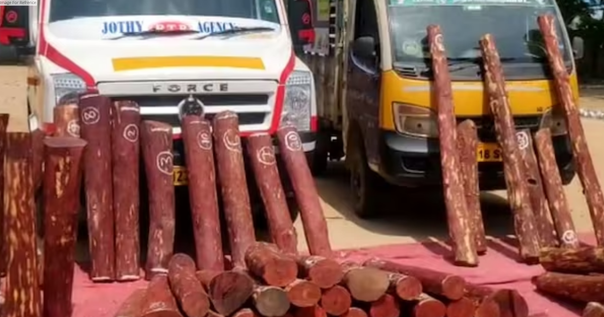 Andhra: 16 arrested for smuggling red sandalwood worth over Rs 40 lakh